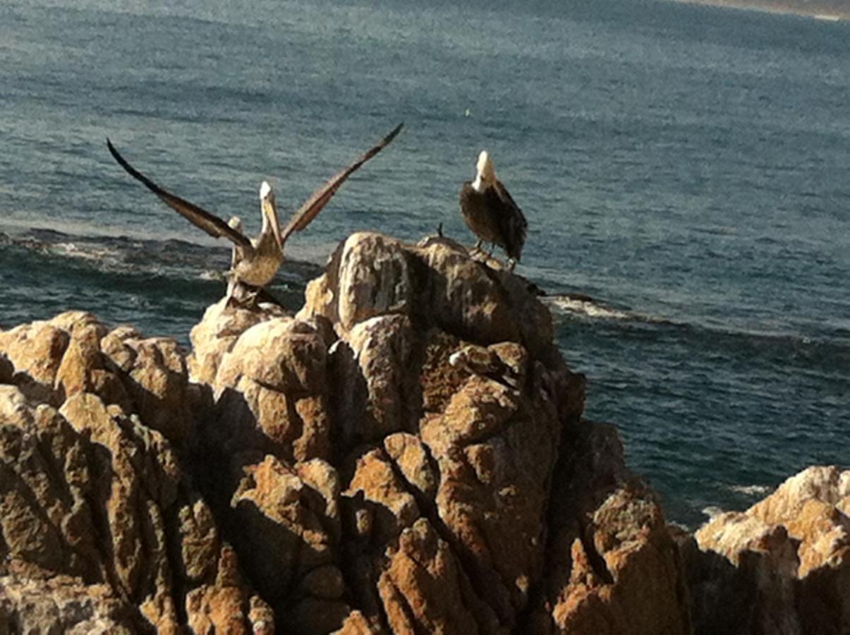 B&B Patrimonial Little Castle Vina del Mar Buitenkant foto